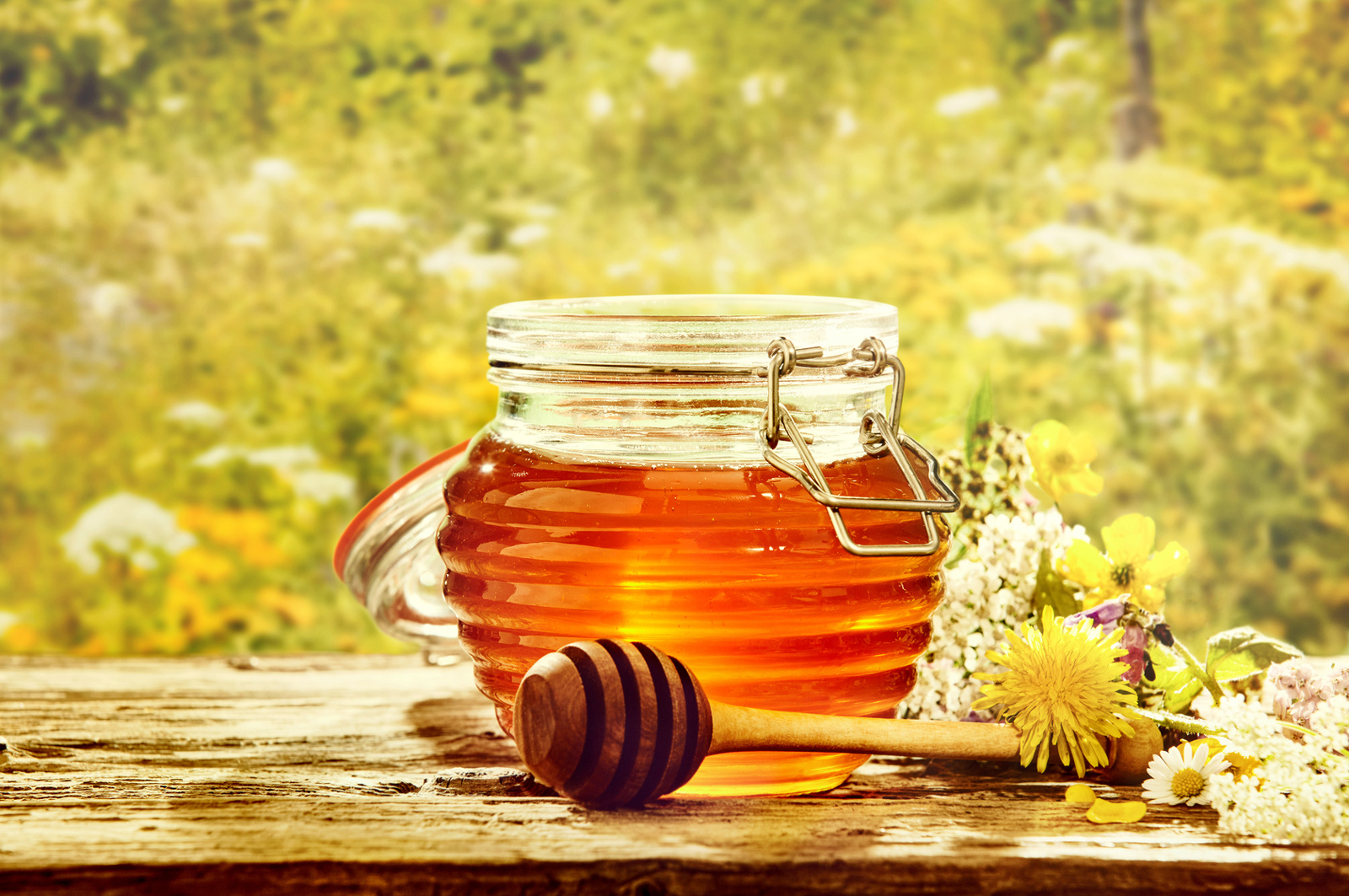 Es summt! Alles, was Sie über Honig wissen müssen | GenussMAGAZIN