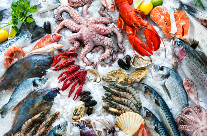 Köstliche Meeresfrüchte - Wissenswertes zu Kalamar, Oktopus und Sepia